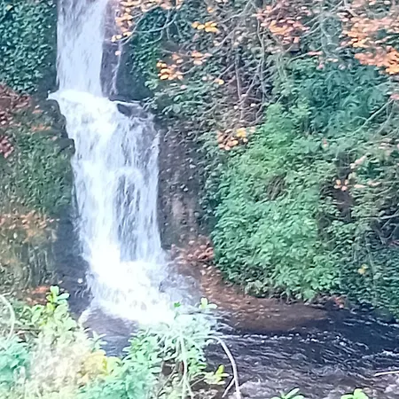 River View At Silver River Holiday home