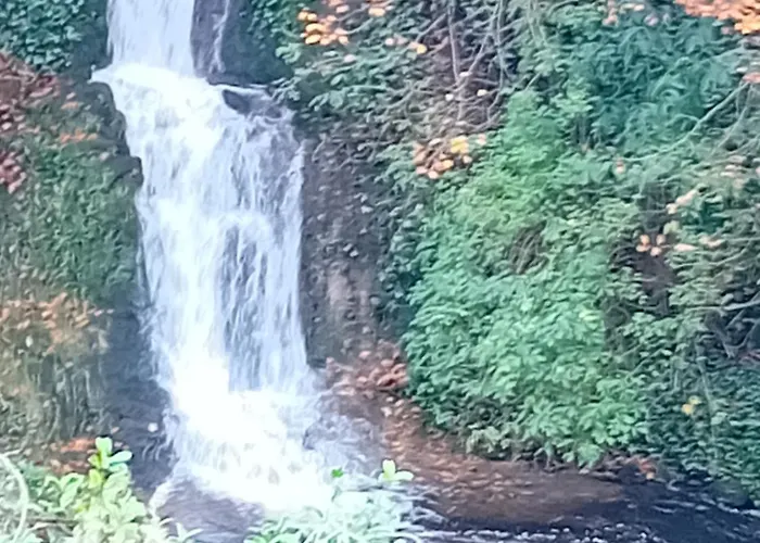 River View At Silver River Feriehus